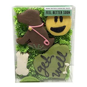 Bubba Rose Biscuit Company: Decorated Feel Better Soon Dog Treats - Crunchy Biscuit - Natural Get Well Gourmet Dog Cookies - Pack of 4 Cookies - Made in The USA