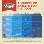 Primal Antlers for Dogs, Grade A Split Elk Antlers for Large Canines 30-45 lb, Natural Chews for Aggressive Chewers, Naturally Shed, Long Lasting Dog Bones, 1 ct