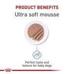 Royal Canin Size Health Nutrition Small Mother & Babydog Starter Mousse in Sauce Wet Dog Food, 5.1 oz can (24-count)