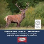 Primal Antlers for Dogs, Grade A Split Elk Antlers for Large Canines 30-45 lb, Natural Chews for Aggressive Chewers, Naturally Shed, Long Lasting Dog Bones, 1 ct