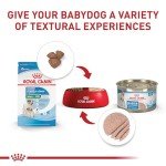 Royal Canin Size Health Nutrition Small Mother & Babydog Starter Mousse in Sauce Wet Dog Food, 5.1 oz can (24-count)