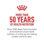 Royal Canin Size Health Nutrition Small Mother & Babydog Starter Mousse in Sauce Wet Dog Food, 5.1 oz can (24-count)