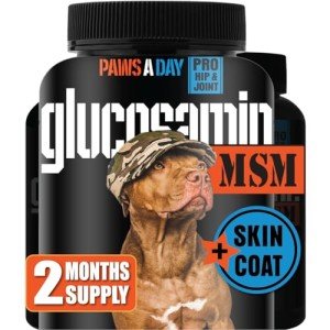 Paws A Day Glucosamine for Dogs Hip & Joint Supplement – “Two-in-One Combo” Dog Joint Care and Improved Skin & Coat with Chondroitin, MSM, Omega 3, Collagen & Biotin, 60 Chewable Tablets