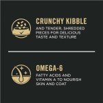 Purina Pro Plan Complete Essentials Shredded Blend Beef and Rice Dog Food Dry Formula with Probiotics for Dogs - 5 lb. Bag