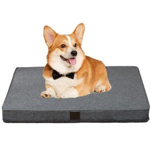 Orthopedic Dog Bed for Small Dogs - Dark Grey