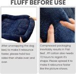 Cozy Navy Foam Dog Bed for Small Breeds