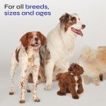 Hemp Joint Chews for Dog Mobility Support