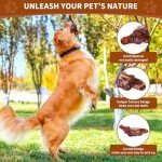 Bacon-Flavored Indestructible Chew Toys for Large Dogs