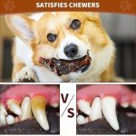 Bacon-Flavored Indestructible Chew Toys for Large Dogs