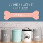 Stylish Airtight Pet Treat Jar - 1.4 Qt