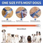 4 Pack Waterproof Dog Flea Collars - 32 Months
