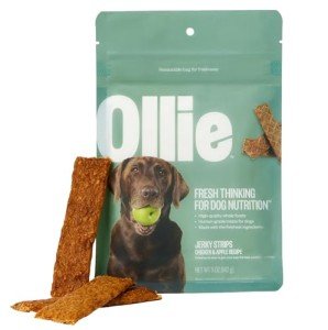 Ollie Chicken & Apple Jerky Dog Treats 5oz