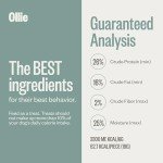 Ollie Chicken & Apple Jerky Dog Treats 5oz