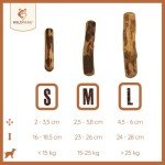 Wildfang® Natural Olive Wood Dog Chew Toy