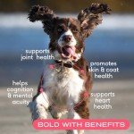 Native Pet Salmon Oil for Dogs and Cats