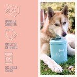 Stylish Airtight Pet Treat Jar for Dogs & Cats