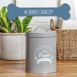 Stylish Airtight Pet Treat Jar for Dogs & Cats