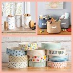 Stylish Airtight Pet Treat Jar for Dogs & Cats