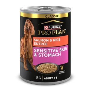 Purina Pro Plan Salmon & Rice Dog Food Cans