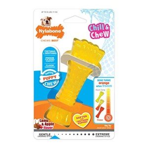 Nylabone Puppy Chew Toy - Flavorful Teething Bone