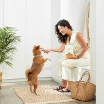 Jinx Soft Beef Bites Dog Treats – 5oz