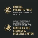 Purina Pro Plan Salmon & Rice Dog Food Cans