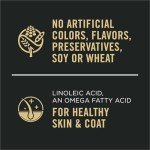 Purina Pro Plan Salmon & Rice Dog Food Cans