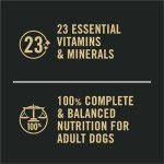 Purina Pro Plan Salmon & Rice Dog Food Cans