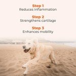 Pawlabs G-Max Joint Support Chews for Dogs