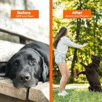 Pawlabs G-Max Joint Support Chews for Dogs