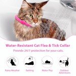 4 Pack Natural Flea and Tick Collars for Cats
