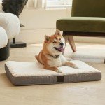 DaysU Orthopedic Dog Bed for Medium Dogs