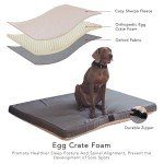 DaysU Orthopedic Dog Bed for Medium Dogs