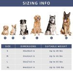 DaysU Orthopedic Dog Bed for Medium Dogs