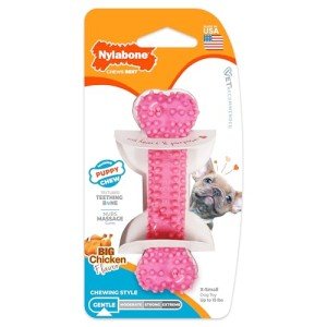 Nylabone Puppy Teething Chew Toy - Pink Chicken