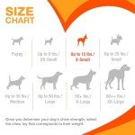 Nylabone Puppy Teething Chew Toy - Pink Chicken