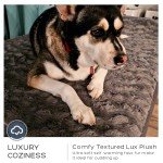 Jumbo Orthopedic Memory Foam Dog Bed for Large Dogs