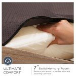 Jumbo Orthopedic Memory Foam Dog Bed for Large Dogs