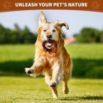 Indestructible Bacon Flavored Chew Toy for Dogs