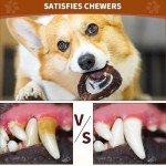 Indestructible Bacon Flavored Chew Toy for Dogs