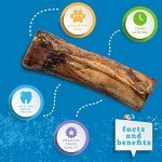 Jack&Pup Marrow Bones for Dogs | 6 Inch Dog Bones for Aggressive Chewers | Single Ingredient Bone Marrow Dog Bones, All Natural Dog Chew Bones (1 Pack)