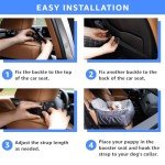 Oiilores Dog Car Seat for Small Dogs,Washable Pet Booster Car Seats with Clip-On Safty Leash, Comfy Deluxe Plush Carseat with Storage Pockets, Puppy Car Travel Carrier Bed for Dogs Under 25 lbs, Grey