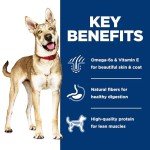 Hill's Science Diet Adult 1-6, Adult 1-6 Premium Nutrition, Wet Dog Food, Salmon & Barley Loaf, 13 oz Can, Case of 12