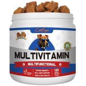 10 in 1 Dog Multivitamin Supplement with Glucosamine Probiotics Omegas 3 Dog Vitamins and Supplements Senior and Puppy Multivitamin for Dogs Supports Immunity Digestion Joint Skin and Coat Health