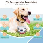 10 in 1 Dog Multivitamin Supplement with Glucosamine Probiotics Omegas 3 Dog Vitamins and Supplements Senior and Puppy Multivitamin for Dogs Supports Immunity Digestion Joint Skin and Coat Health