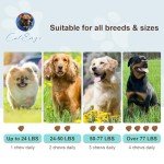 10 in 1 Dog Multivitamin Supplement with Glucosamine Probiotics Omegas 3 Dog Vitamins and Supplements Senior and Puppy Multivitamin for Dogs Supports Immunity Digestion Joint Skin and Coat Health