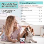 10 in 1 Dog Multivitamin Supplement with Glucosamine Probiotics Omegas 3 Dog Vitamins and Supplements Senior and Puppy Multivitamin for Dogs Supports Immunity Digestion Joint Skin and Coat Health