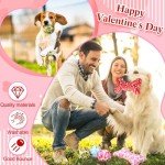 6 Pcs Valentine's Day Dog Toys Puppy Tennis Balls and Dog Squeaky Bone Toys Plush Interactive Pet Toys for Small Medium Large Dog Plush Chew Toys Puppy Training Toss Playing Gift