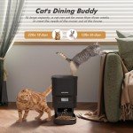 Nityers Automatic Cat Feeder 4L - Timed Pet Feeder for Cats and Dogs with Dry Cat Food Dispenser, Dog and Cat Food Storage Container, Programmable Control 1-6 Meals Pet Day, 10s Voice, Safety Lock