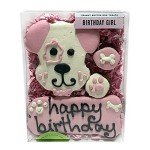Festive Pink Birthday Dog Treats - 4 Pack